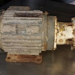 ITT-Jabsco-28420-series-stainless-steel-pump.